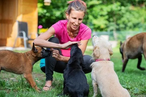 reconversion soigneur animalier