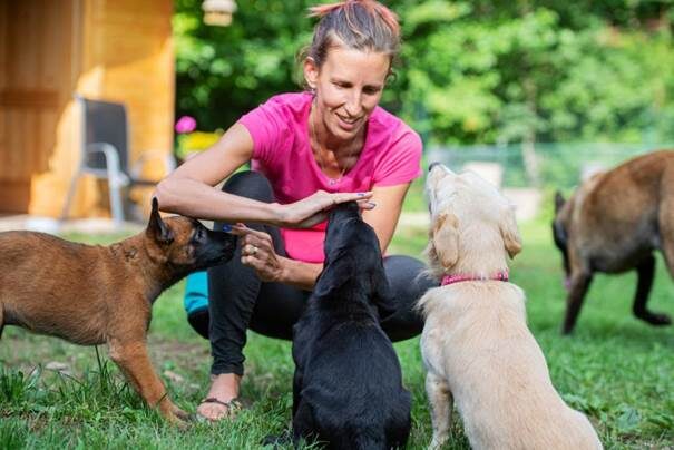 reconversion soigneur animalier